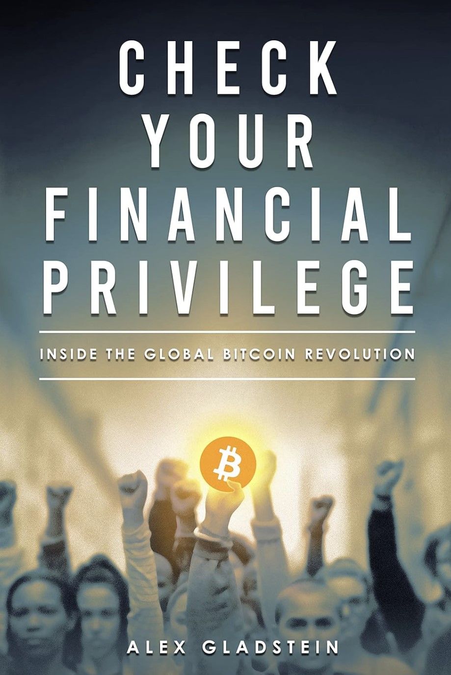 Check Your Financial Privilege by Alex Gladstein